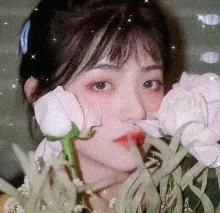 桃源风月